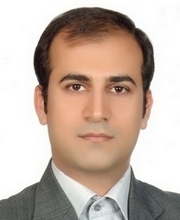 Abdulhamid N.M. Ansari